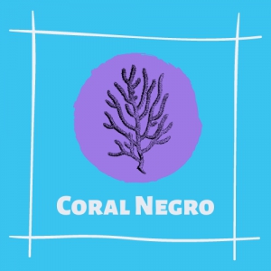 Coral Negro