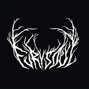 Fury Soul