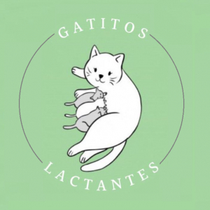 Gatitos Lactantes ZN