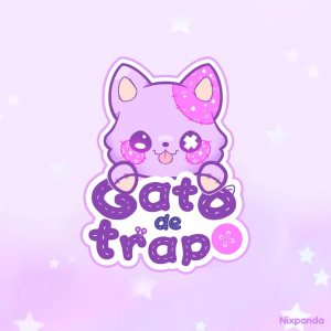Gato de trapo