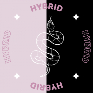 Hybrid chxins