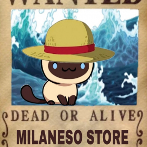 Milaneso Store