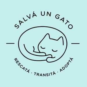 Salvá un gato