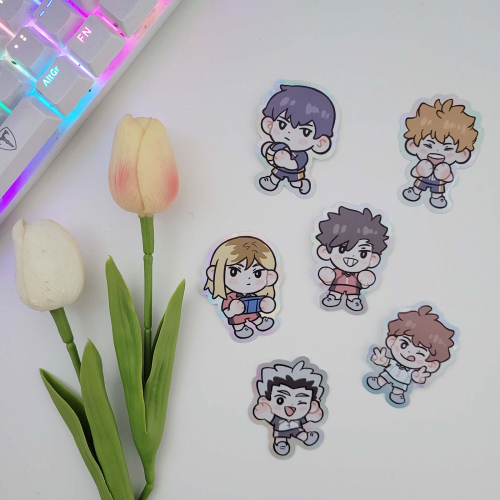 Stickers vinilo holográfico