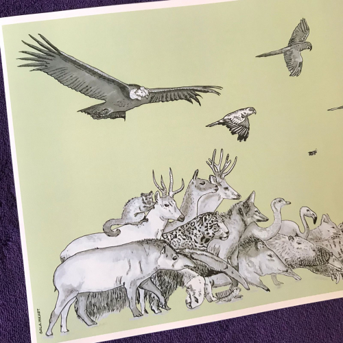 Lámina A4 Fauna Argentina