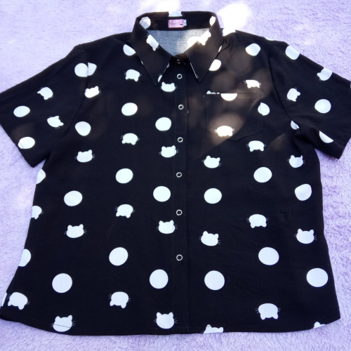 Camisa gatitos