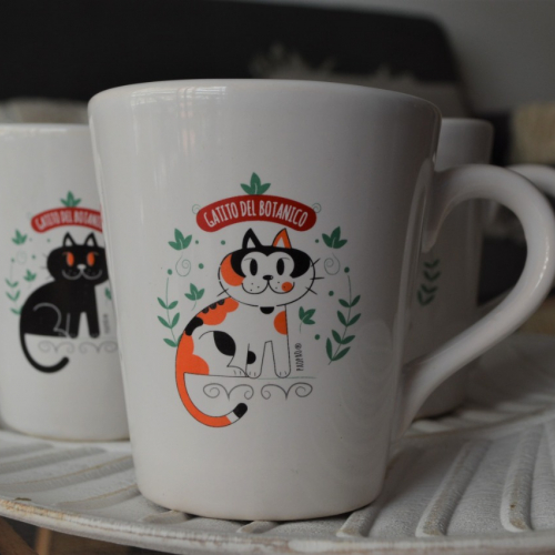 Tazas