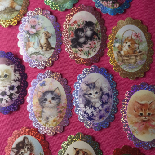 Colección de gatitos 