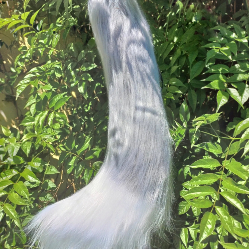 Cola de Lobo