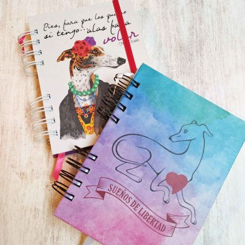 Planner tapa dura